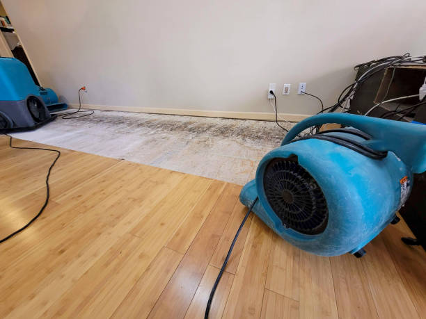 Professional Burst Pipe Water Damage technician working in Crittenden, KY